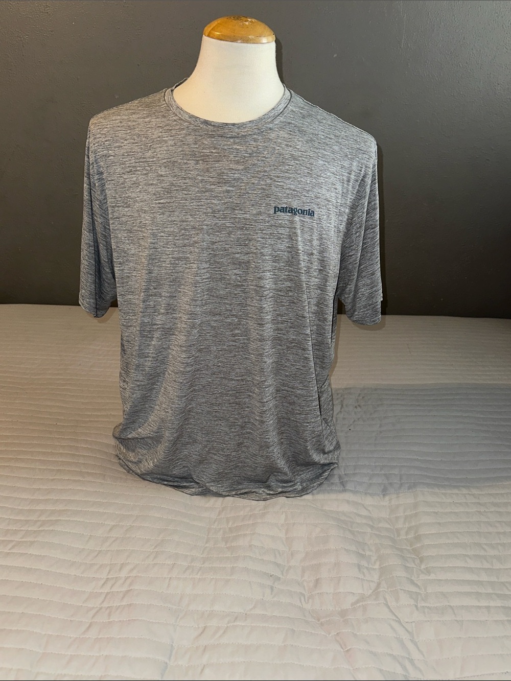 Patagonia Men's Heather Gray Short-Sleeve Performance Tee